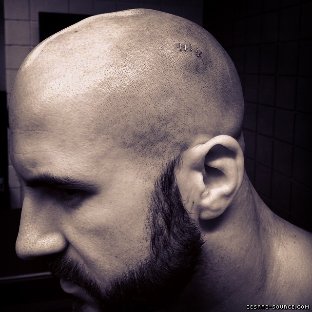 cesaro-101.jpg