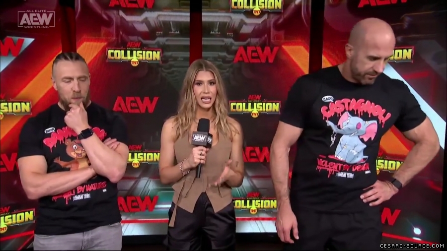 BCC_Collision_Jan_20th_mp45768.jpg