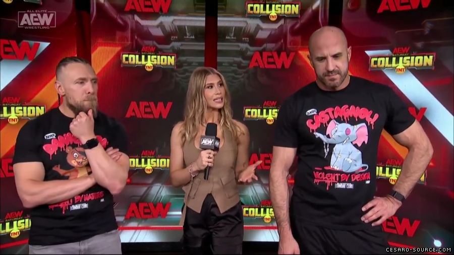 BCC_Collision_Jan_20th_mp45776.jpg