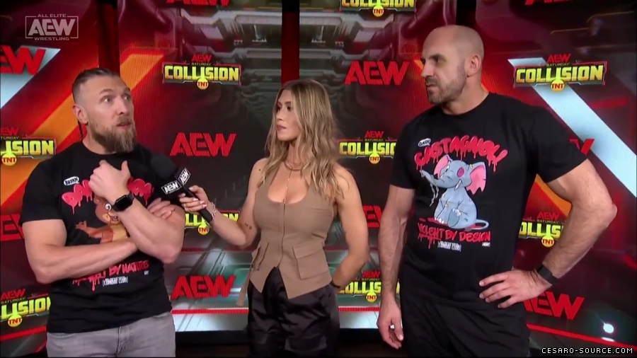 BCC_Collision_Jan_20th_mp45783.jpg