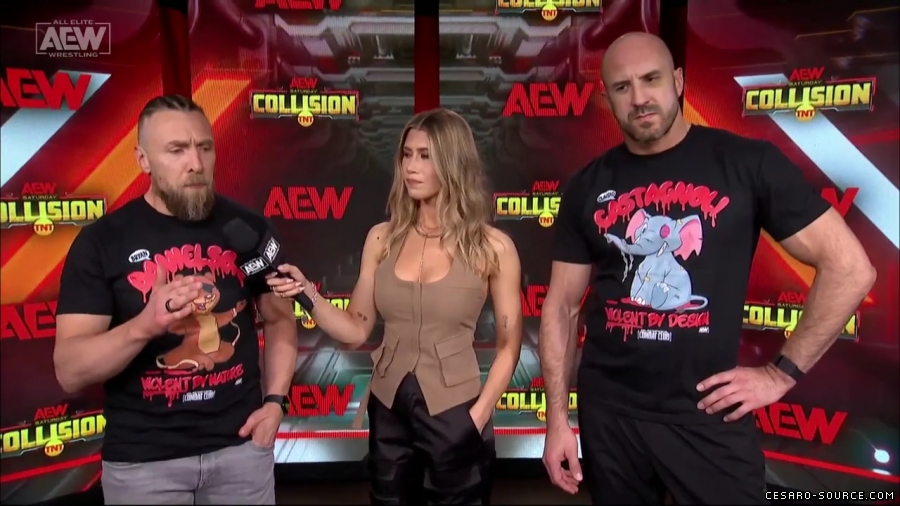 BCC_Collision_Jan_20th_mp45793.jpg