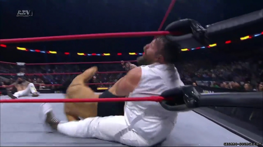 BCC_Collision_mp41003.jpg