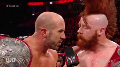 Cesaro_and_Sheamus_mp40747.jpg