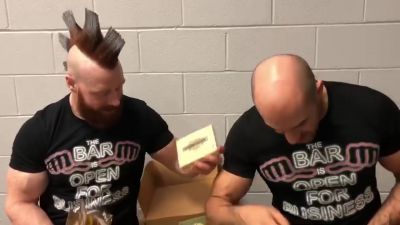 SHEAMUS___CESARO_unbox_CultureFly_s_GAME_OF_THRONES__NOBLE_HOUSES_OF_WESTEROS__mp40068.jpg