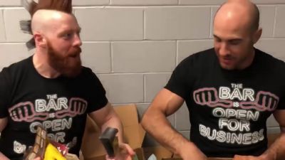 SHEAMUS___CESARO_unbox_CultureFly_s_GAME_OF_THRONES__NOBLE_HOUSES_OF_WESTEROS__mp40074.jpg