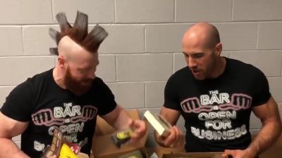 SHEAMUS___CESARO_unbox_CultureFly_s_GAME_OF_THRONES__NOBLE_HOUSES_OF_WESTEROS__mp40075.jpg