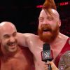 Cesaro_and_Sheamus_mp40734~0.jpg