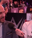 Sheamus_and_Cesaro_talk_about_the_brand_split___the_Ladder_match_at_WrestleMania_mp40221.jpg