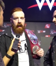 Why_Did_That_Sheamus___Cesaro_Song_Never_Catch_On__mp40157.jpg