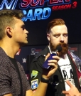 Why_Did_That_Sheamus___Cesaro_Song_Never_Catch_On__mp40177.jpg