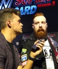 Why_Did_That_Sheamus___Cesaro_Song_Never_Catch_On__mp40178.jpg