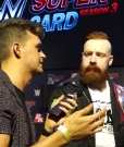 Why_Did_That_Sheamus___Cesaro_Song_Never_Catch_On__mp40189.jpg