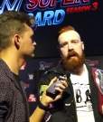 Why_Did_That_Sheamus___Cesaro_Song_Never_Catch_On__mp40193.jpg