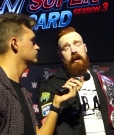 Why_Did_That_Sheamus___Cesaro_Song_Never_Catch_On__mp40225.jpg