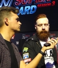 Why_Did_That_Sheamus___Cesaro_Song_Never_Catch_On__mp40228.jpg