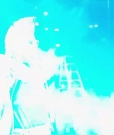 Bar_mp40051.jpg