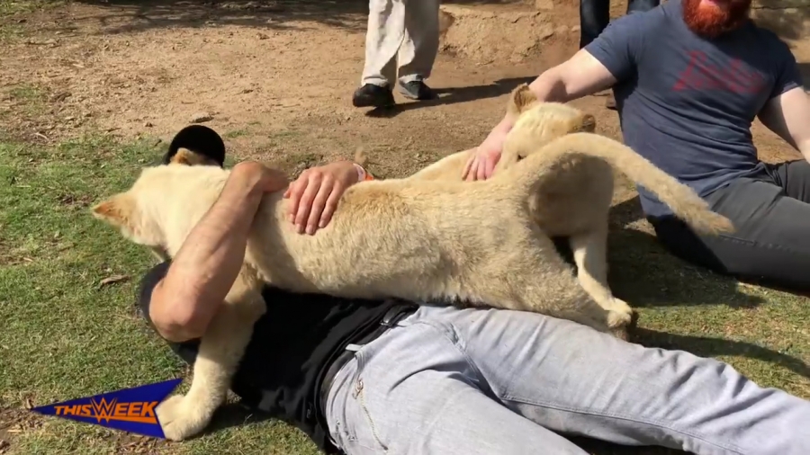 WWE_Superstars_experience__life_memories__in_South_Africa_mp40041.jpg