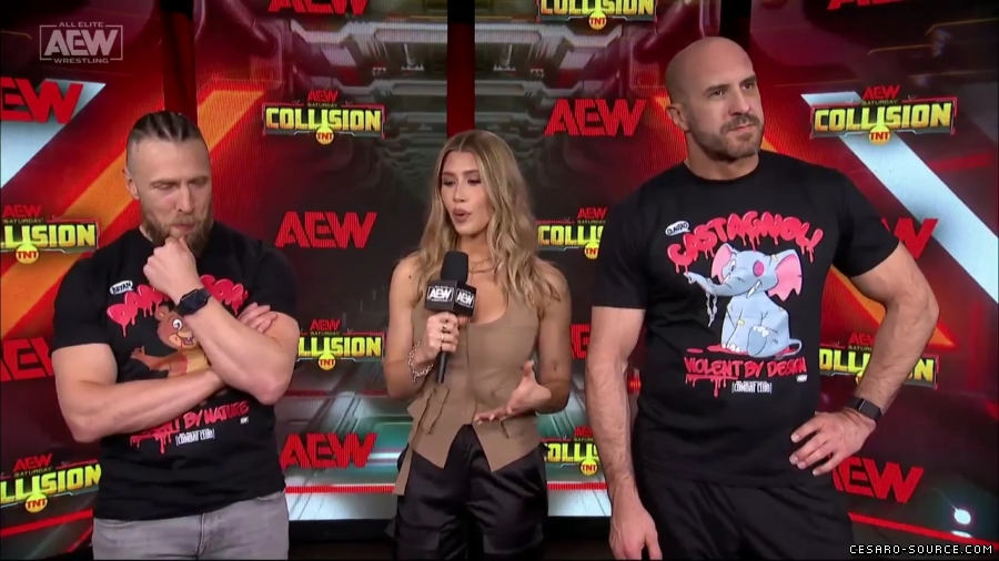 BCC_Collision_Jan_20th_mp45771.jpg