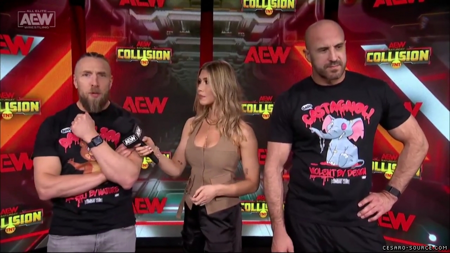 BCC_Collision_Jan_20th_mp45778.jpg