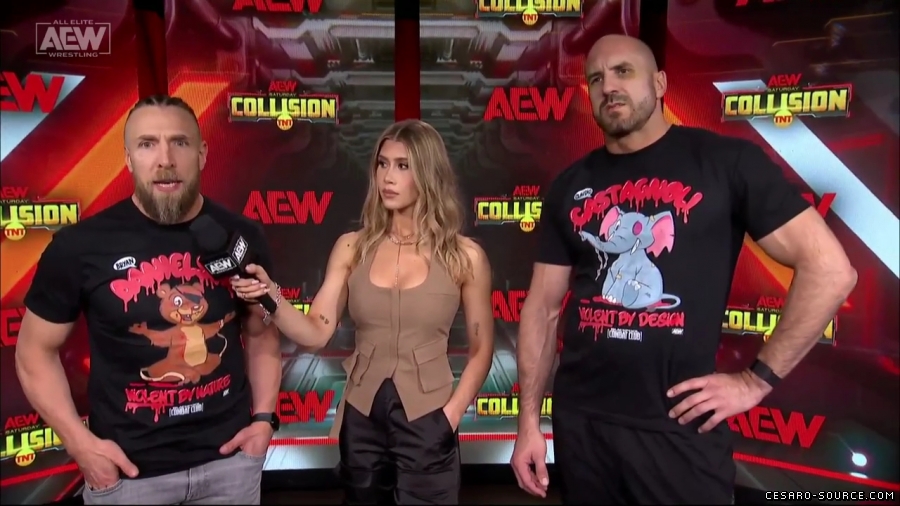 BCC_Collision_Jan_20th_mp45810.jpg