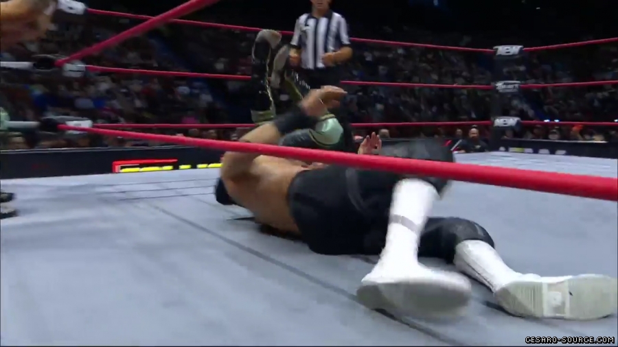 BCC_Collision_mp40338.jpg