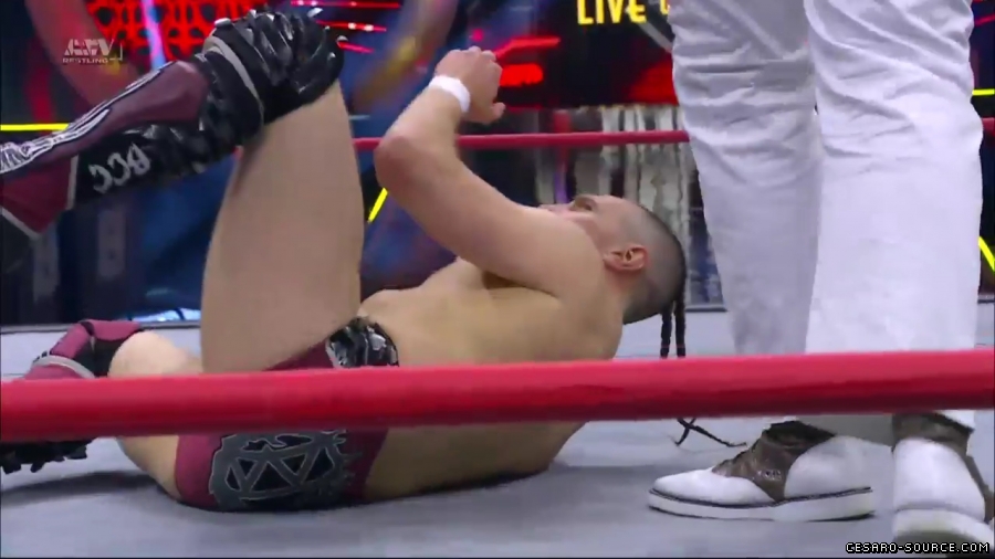 BCC_Collision_mp40479.jpg