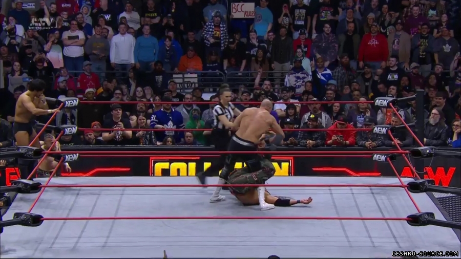 BCC_Collision_mp41048.jpg