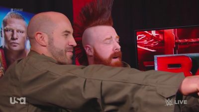Cesaro_1_mp40093.jpg