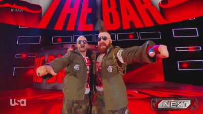 Cesaro_2_mp40146.jpg
