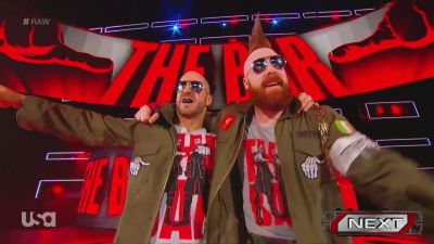 Cesaro_2_mp40148.jpg