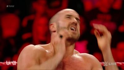 Cesaro_2_mp41005.jpg