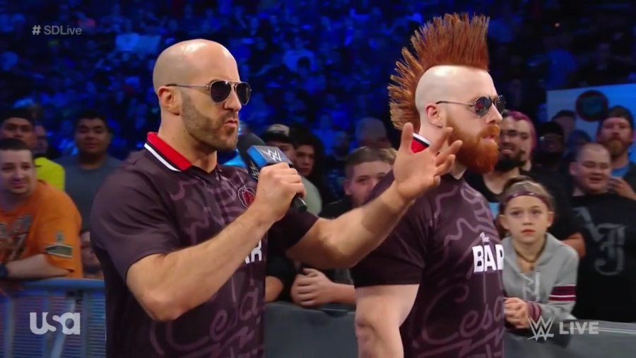 Cesaro_SD_mp40096.jpg