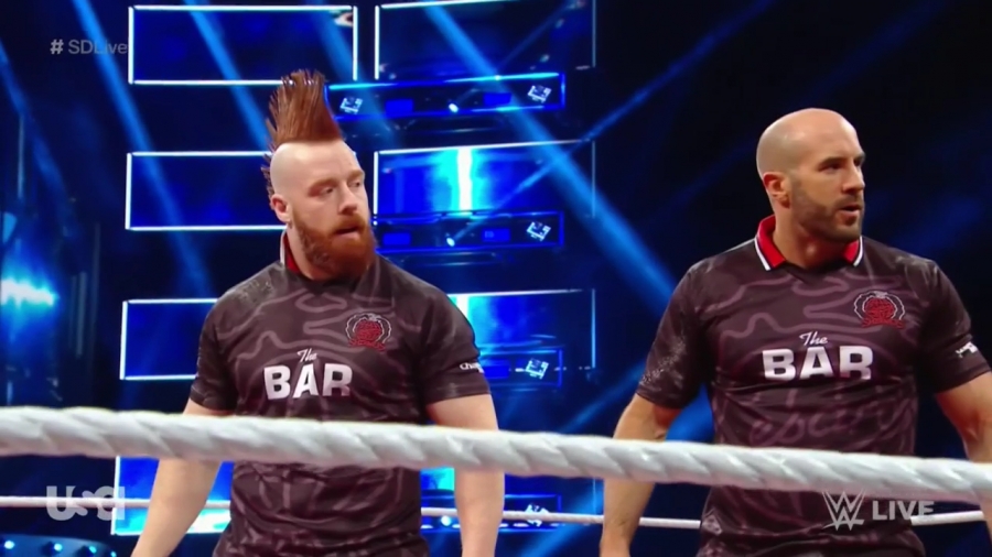 Cesaro_SD_mp40209.jpg
