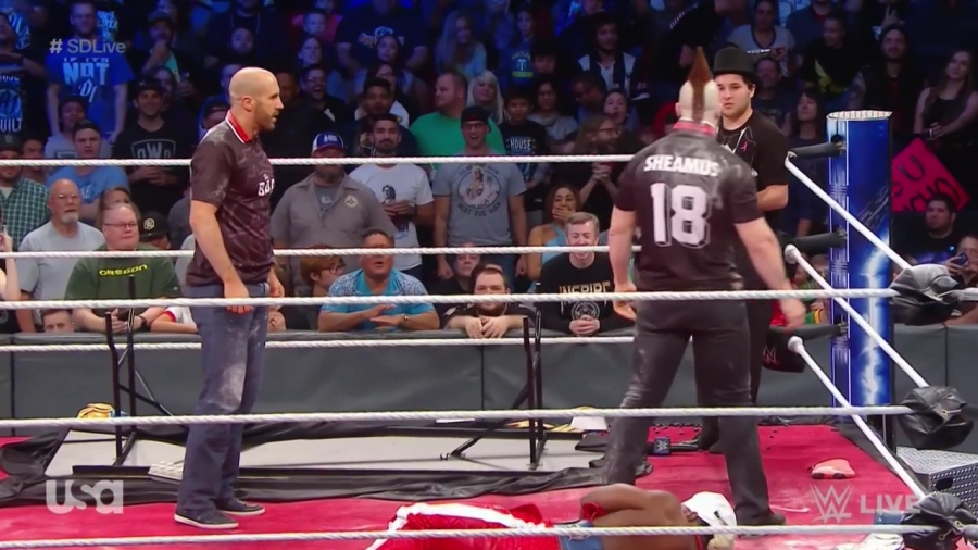 Cesaro_SD_mp40217.jpg