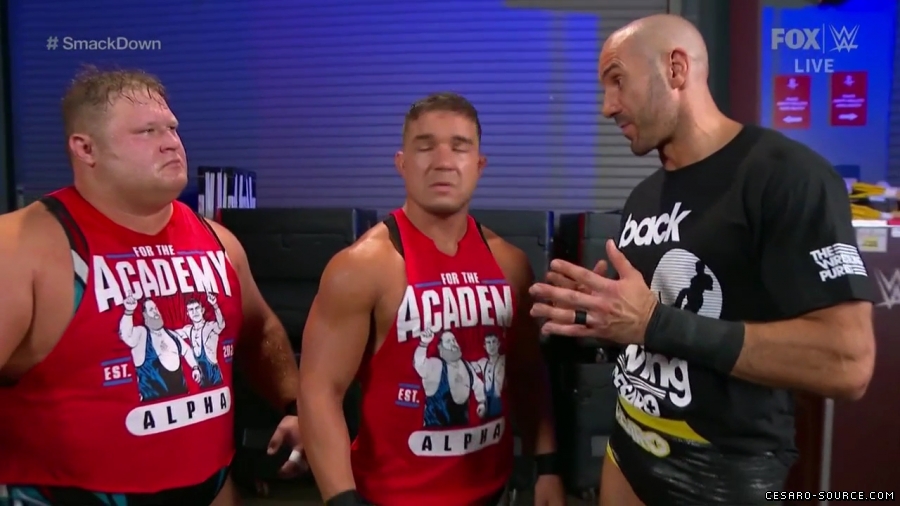 Cesaro_SD_mp40246~2.jpg