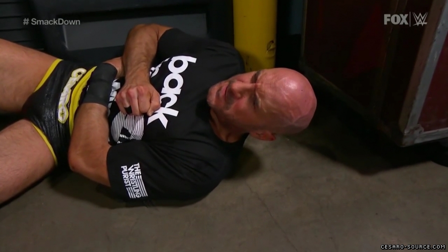 Cesaro_SD_mp40278~2.jpg