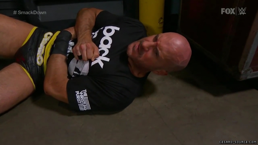 Cesaro_SD_mp40279~2.jpg
