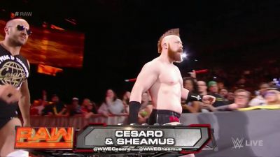Cesaro_mp40070.jpg