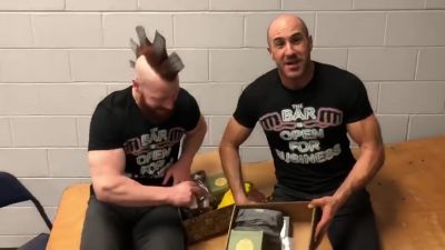 SHEAMUS___CESARO_unbox_CultureFly_s_GAME_OF_THRONES__NOBLE_HOUSES_OF_WESTEROS__mp40083.jpg