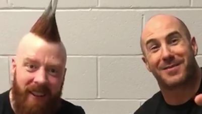 SHEAMUS___CESARO_unbox_CultureFly_s_GAME_OF_THRONES__NOBLE_HOUSES_OF_WESTEROS__mp40095.jpg