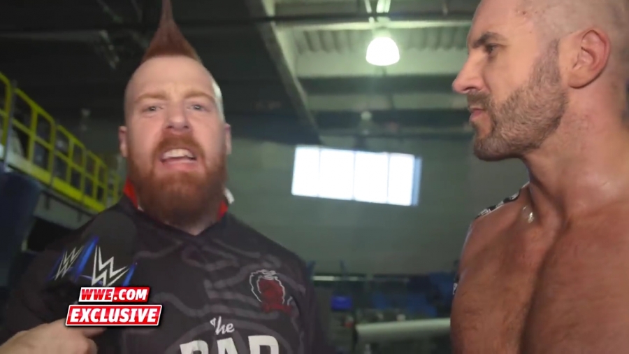The_Bar_celebrate_a_big_victory_en_route_to_WWE_Super_Show-Down_SmackDown_Exclusive2C_Sept__182C_2018_mp41786.jpg