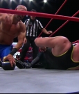 Filename=2023_03_31_ROH_Supercard_of_Honor_2023_HDTV_720p_mp41073.jpg
Filesize=383KiB
Dimensions=1280x720
Date added=Apr 02, 2023 2023_03_31_ROH_Supercard_of_Honor_2023_HDTV_720p_mp41073.jpg