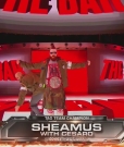 Cesaro_1_mp40024.jpg