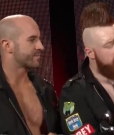 Cesaro_RAW_mp40022~2.jpg