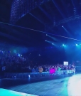 Cesaro_RAW_mp40023~5.jpg