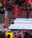 Cesaro_RAW_mp40801.jpg