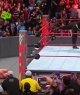 Cesaro_RAW_mp40802.jpg