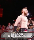 Cesaro_mp40070.jpg