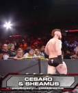 Cesaro_mp40071.jpg