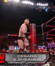 Cesaro_mp40073~0.jpg